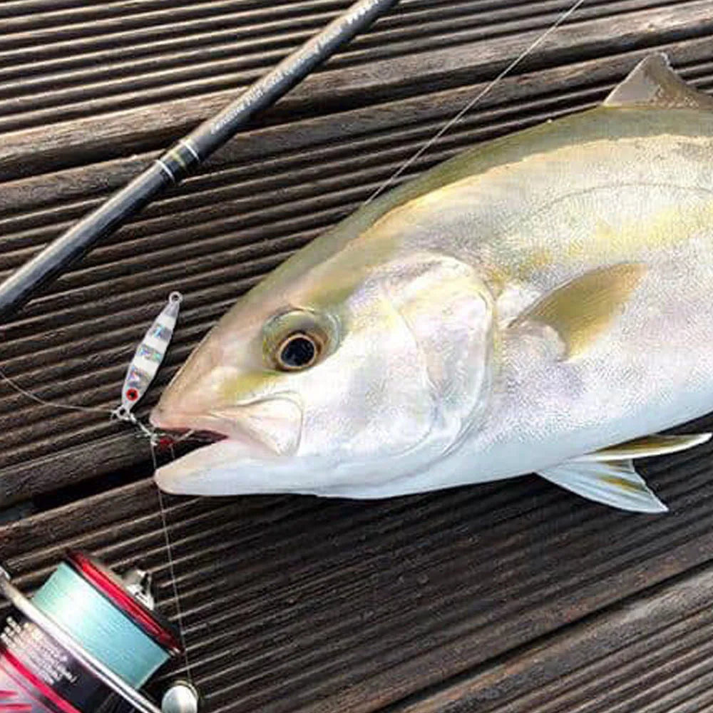 FSTK Micro Metal Jig Fishing Lure is designed for saltwater fishing and offshore casting. Strong hooks and realistic swimming action help attract fish easily. Available in 3g, 7g, 10g, and 15g sizes for different fishing need