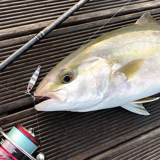 FSTK Micro Metal Jig Fishing Lure is designed for saltwater fishing and offshore casting. Strong hooks and realistic swimming action help attract fish easily. Available in 3g, 7g, 10g, and 15g sizes for different fishing need